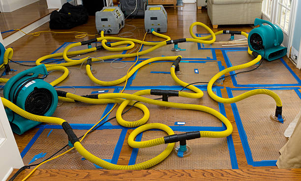 Professional Crawl Space Water Removal technician working in Tilton, NH